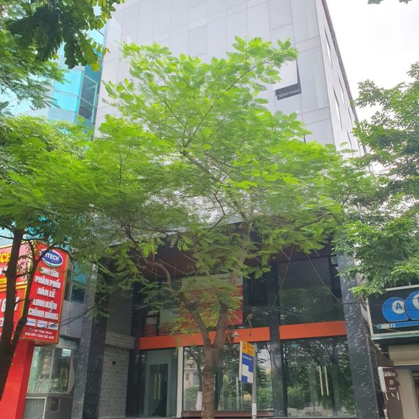 z6325762811851_b84b5c822224080b0057632548ca7172